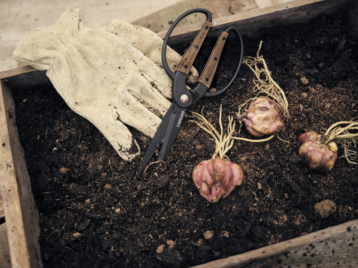 Large Garden Scissors