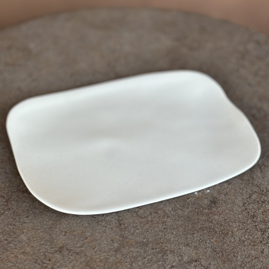 Small Porceline Rectangle Plate