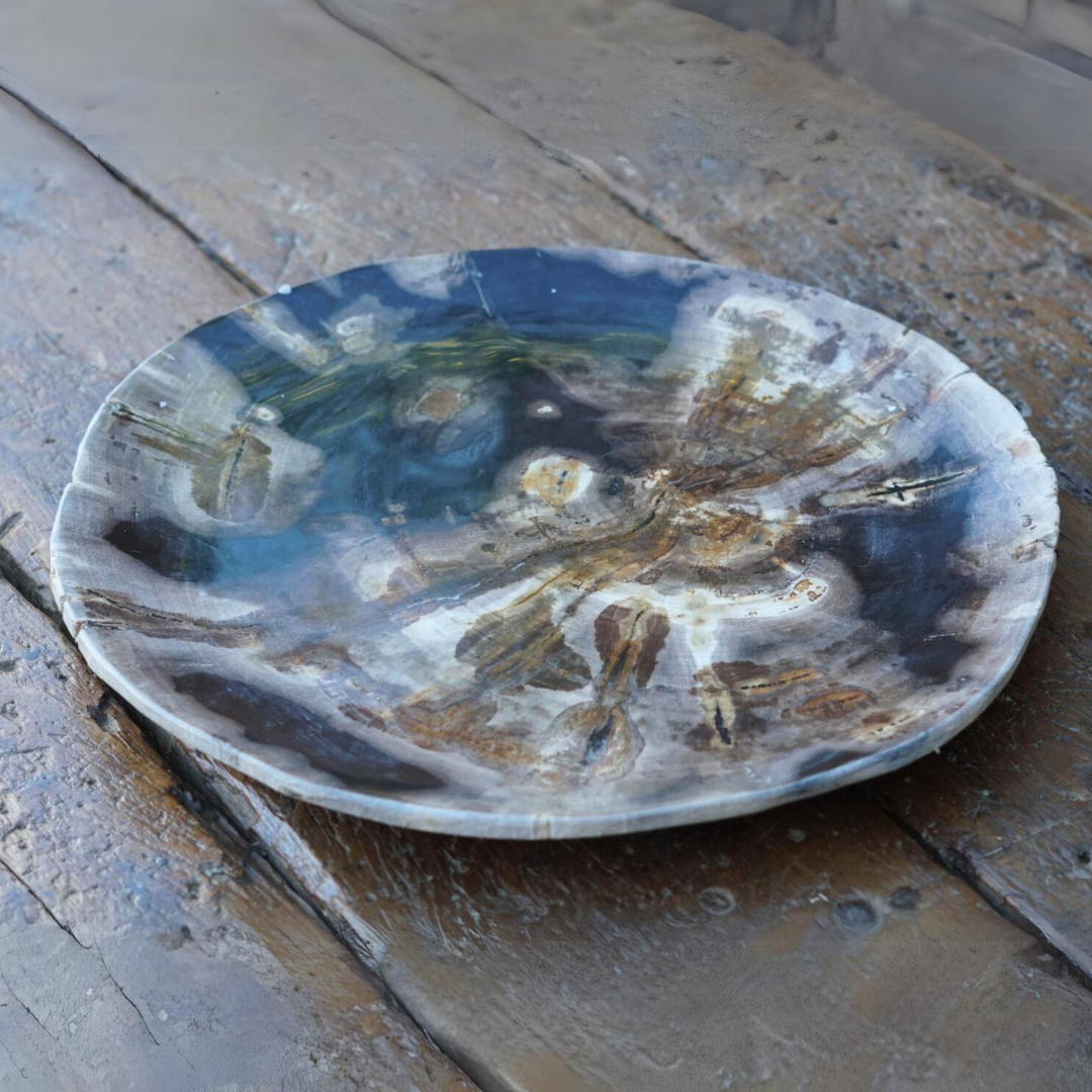 Petrified Wood Plate