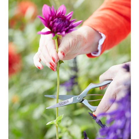 Garden Precision Secateurs