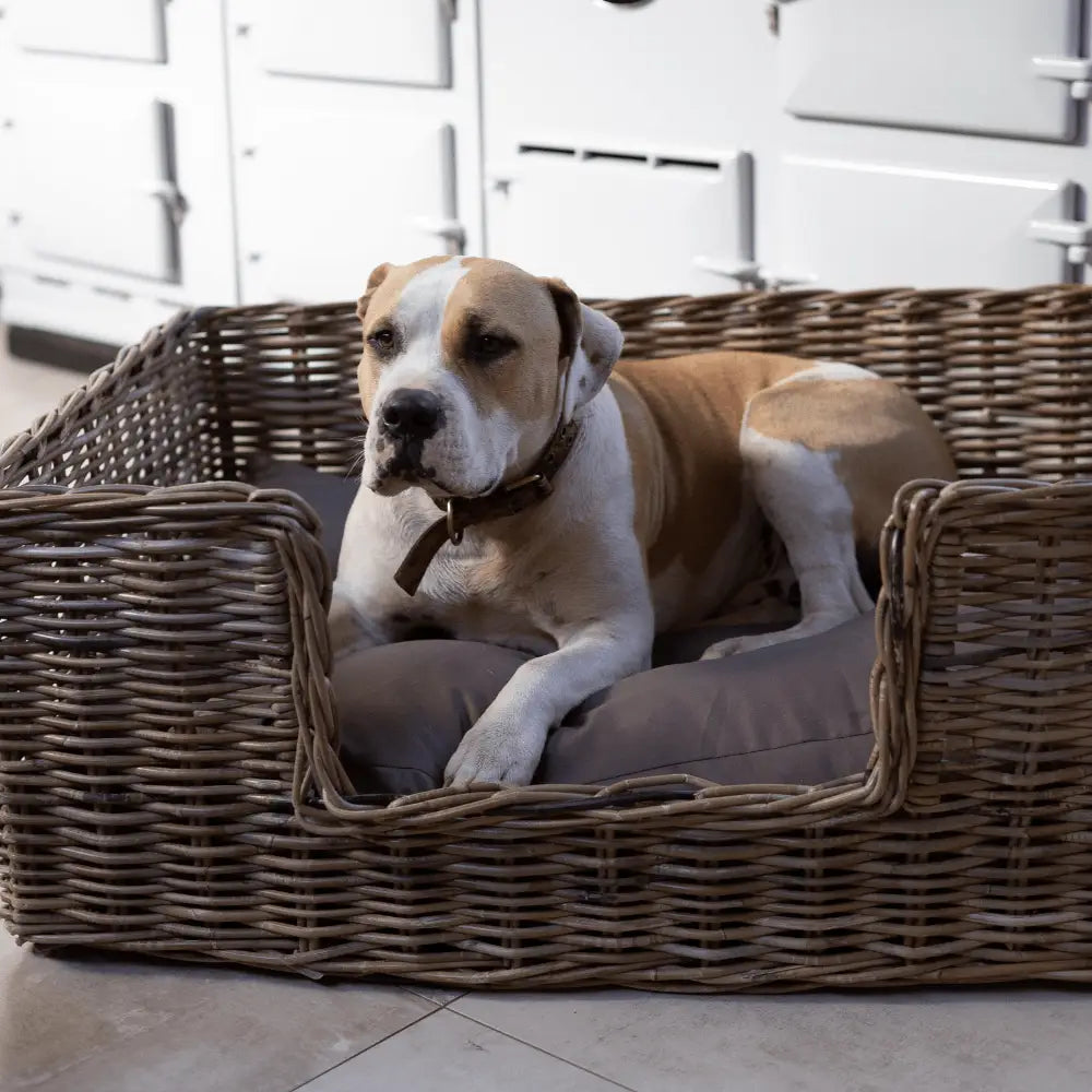 Rattan Pet Bed