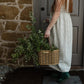 Braided Handbag Basket