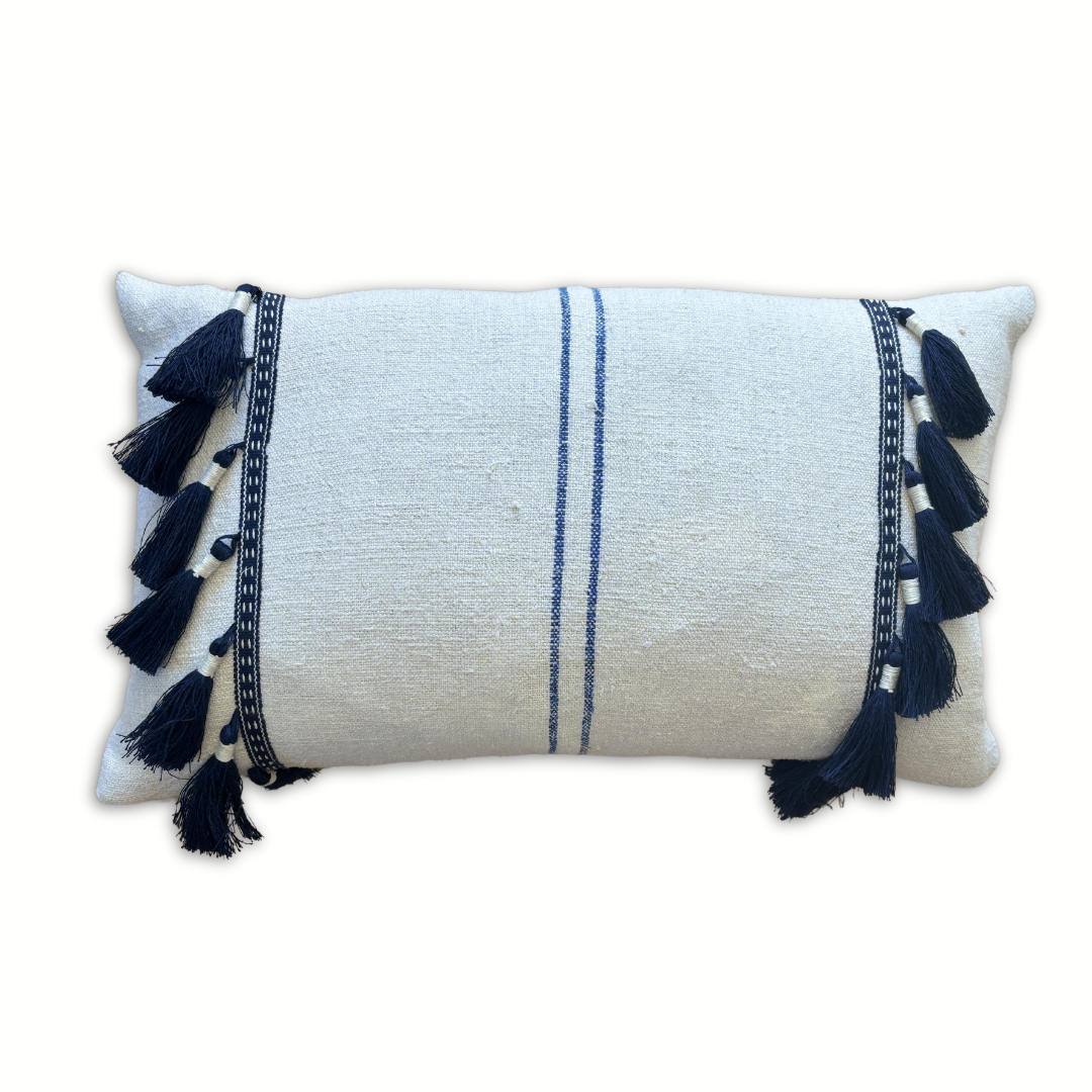 Blue & Creme Tassel Trim Pillow