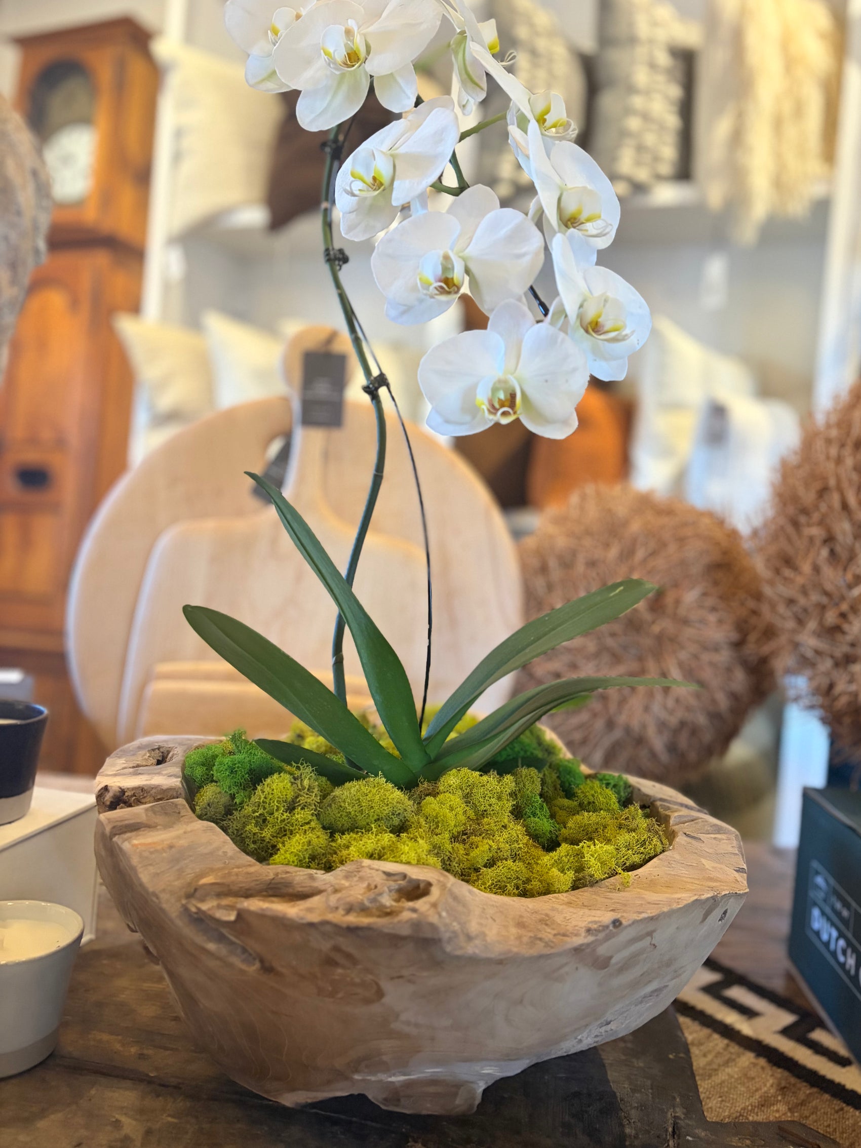 Natural Wood Decorative Bowl