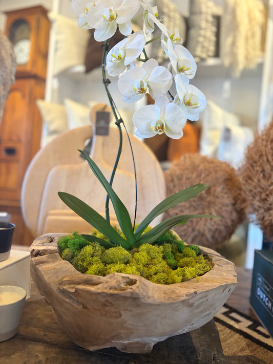 Natural Wood Decorative Bowl