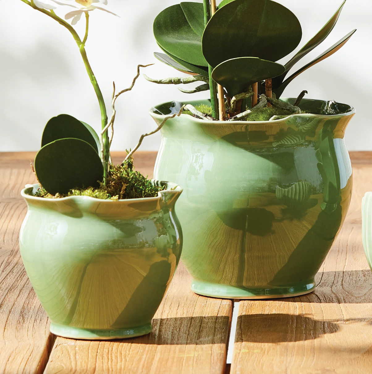Megan Pot