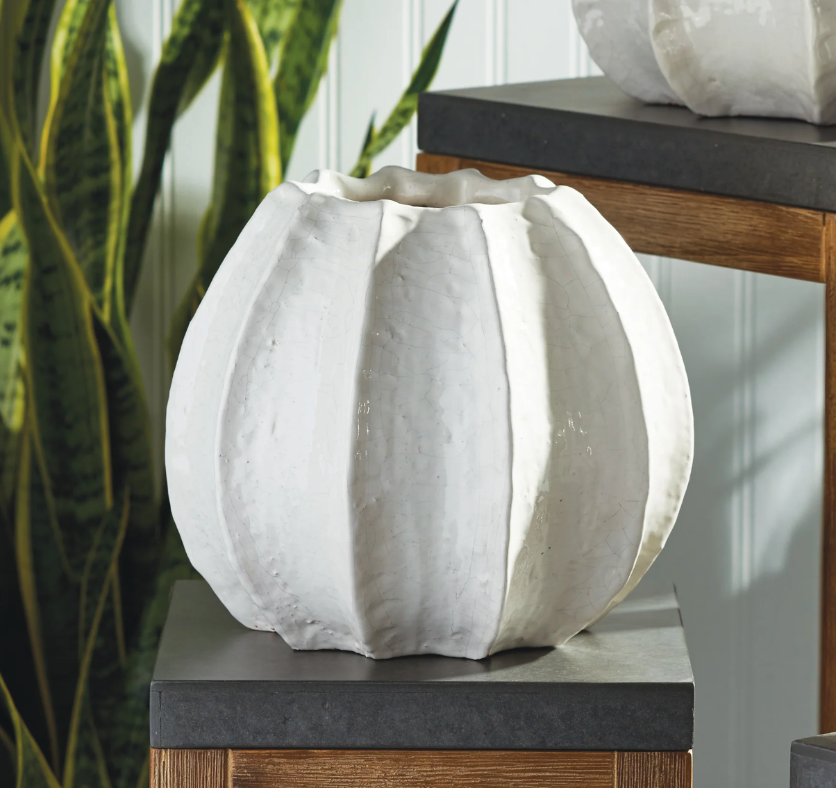 Marina Sea Urchin Pot