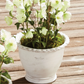 No. 10 Wakefield Alvena Handmade Pot