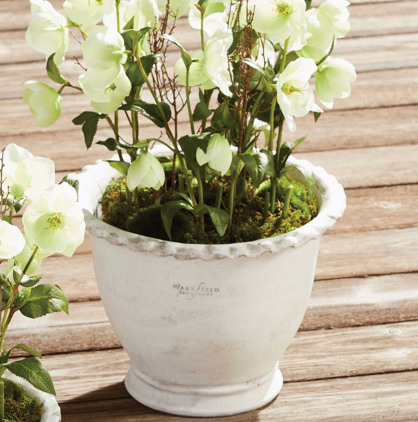 No. 10 Wakefield Alvena Handmade Pot