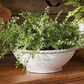 No. 12 Wakefield Handmade Manchette Low Bowl