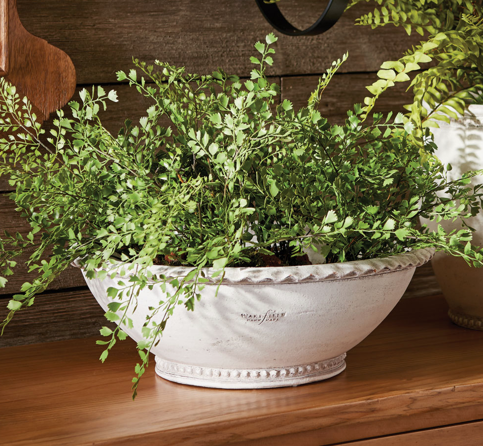 No. 12 Wakefield Handmade Manchette Low Bowl