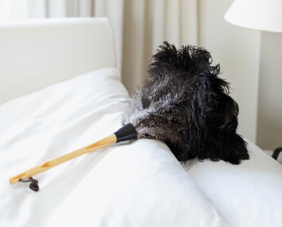 The Feather Duster