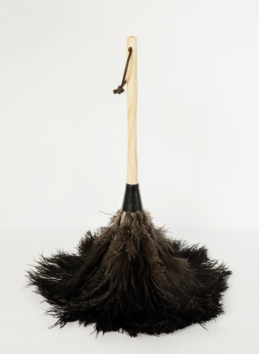 The Feather Duster