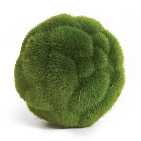 Mood Moss Orb 4"