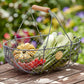 Large Harvest Basket
