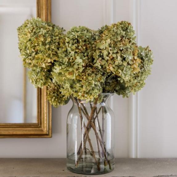 Dried Limelight Hydrangea Bunches