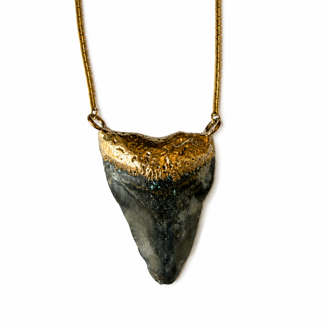Vintage Shark Tooth Necklace