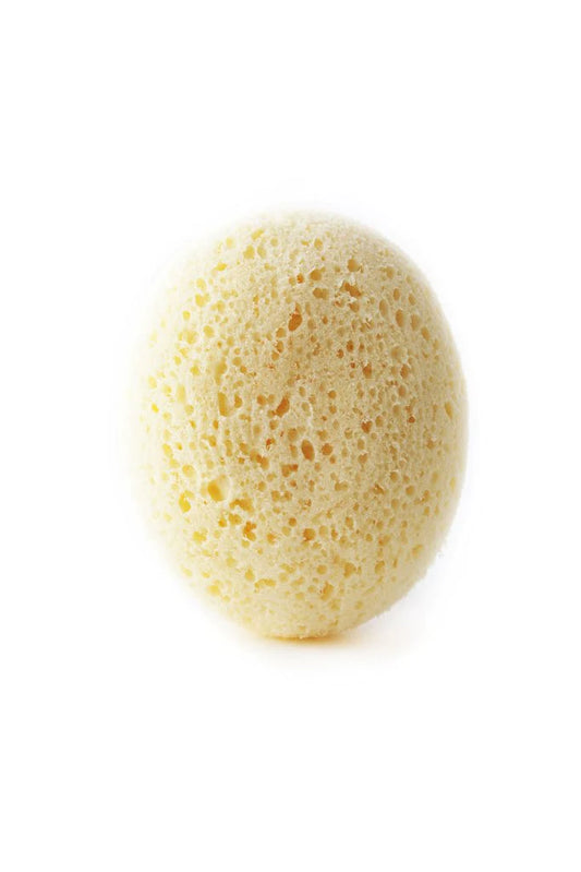 Traditional Pebble Sponge