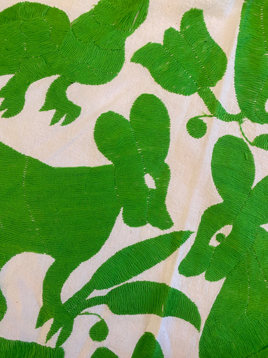 Otomi Embroidery on Cotton