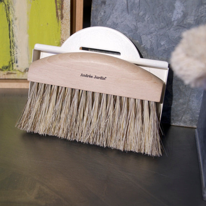 Small Hand Brush with Dustpan